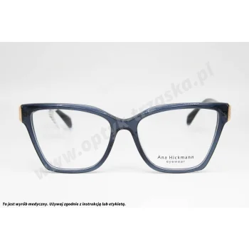 Okulary korekcyjne ANA HICKMANN AH 6568 T02