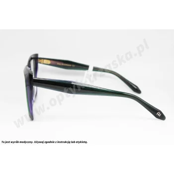 Okulary korekcyjne ANA HICKMANN AH 6588 H01