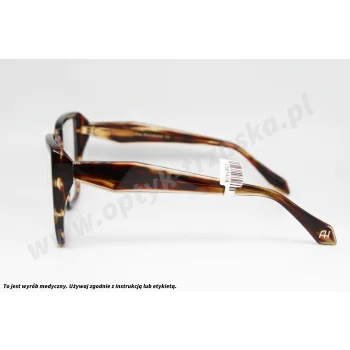Okulary korekcyjne ANA HICKMANN AH 6557 E01