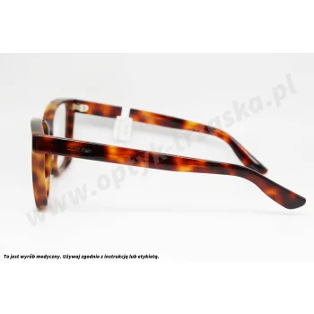 Okulary korekcyjne CALVIN KLEIN CK 25516 240