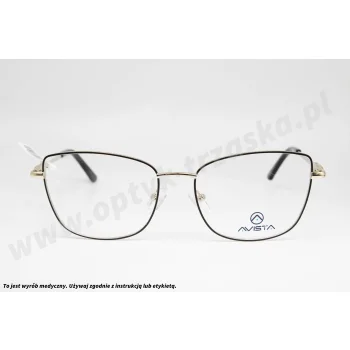 Okulary korekcyjne AVISTA A 4054 C3