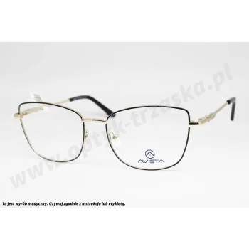 Okulary korekcyjne AVISTA A 4054 C3