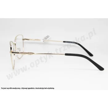 Okulary korekcyjne AVISTA A 4054 C3