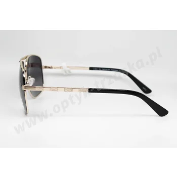 Okulary przeciwsłoneczne VASCO S 800 C3