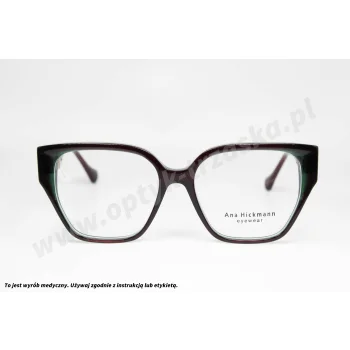 Okulary korekcyjne ANA HICKMANN AH 6640 P05