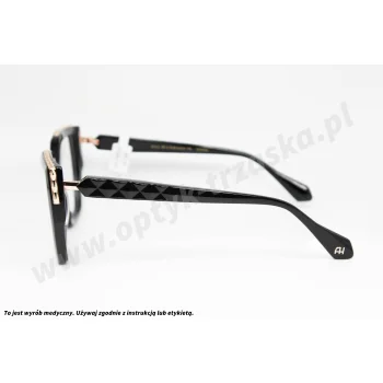 Okulary korekcyjne ANA HICKMANN AH 6637 A01