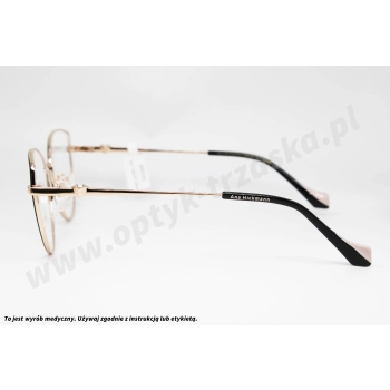 Okulary korekcyjne ANA HICKMANN AH 1603 09A