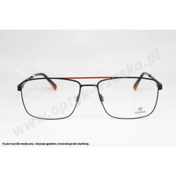 Okulary korekcyjne TEGRA 175 C13
