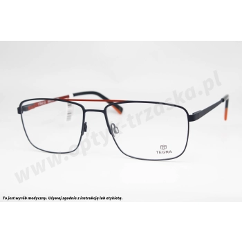 Okulary korekcyjne TEGRA 175 C13