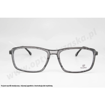 Okulary korekcyjne TEGRA 193 C13