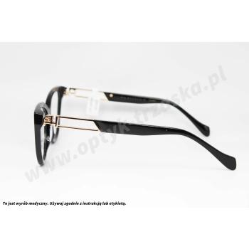 Okulary korekcyjne ANA HICKMANN AH 6689 A01