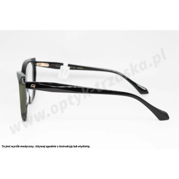 Okulary korekcyjne ANA HICKMANN AH 6684 P01