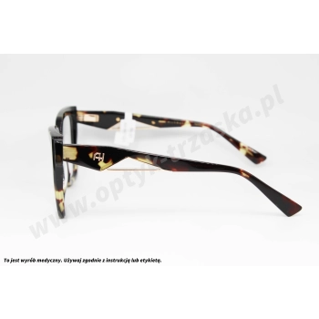 Okulary korekcyjne ANA HICKMANN AH 6687 G21