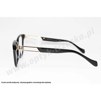 Okulary korekcyjne ANA HICKMANN AH 6685 A01